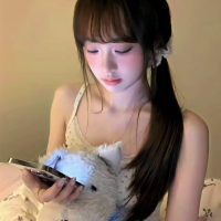 古老时光的画家