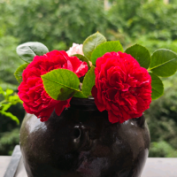 小人物看尽人间百态