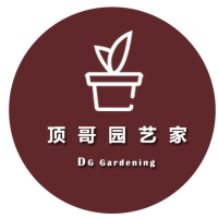 顶哥园艺家啊