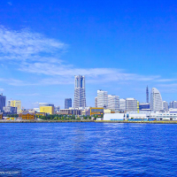 国之君历史研究