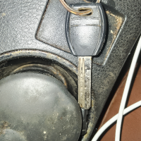 不知道起什么名字呢