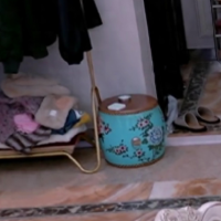 小杜带你看社会