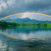 午夜梦回的诗与远方
