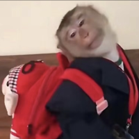吗喽历险记