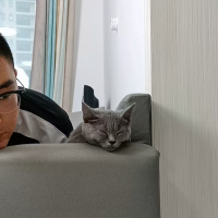 小王爱说天下事