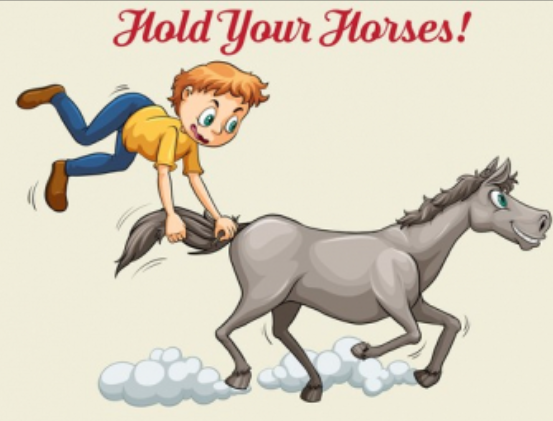 马儿相关表达-horse-related expressions