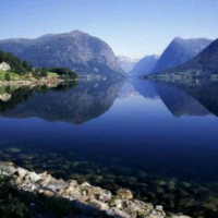 四野后人论历史