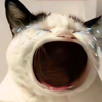 星辰大海之追梦