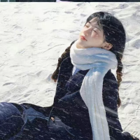 帕洽狗先生