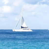 谢先生的那片海