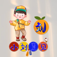 小刘意见
