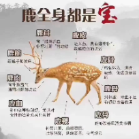 恩光好物推荐