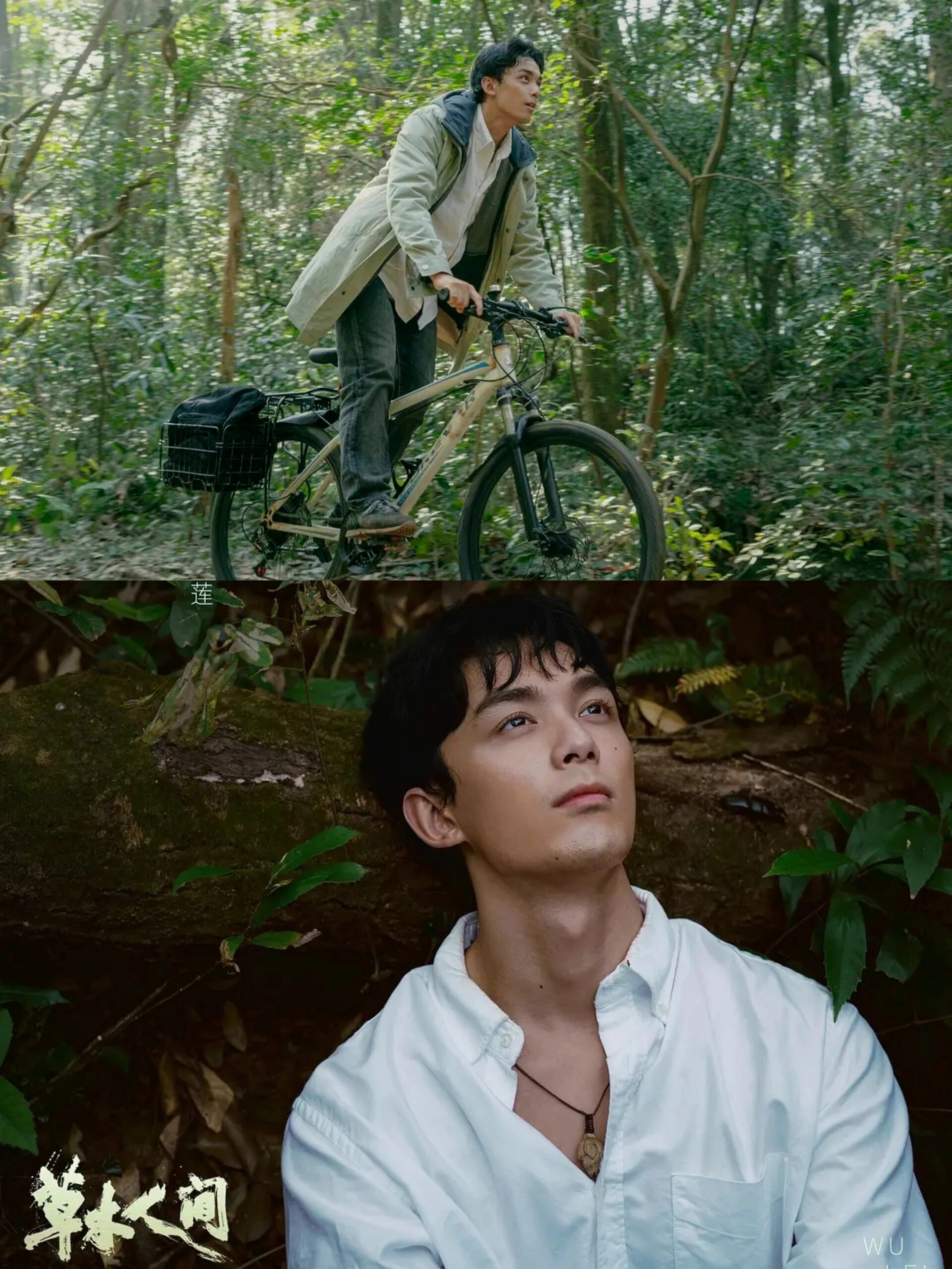 反传销题材影片!吴磊舍身入局揭秘传销