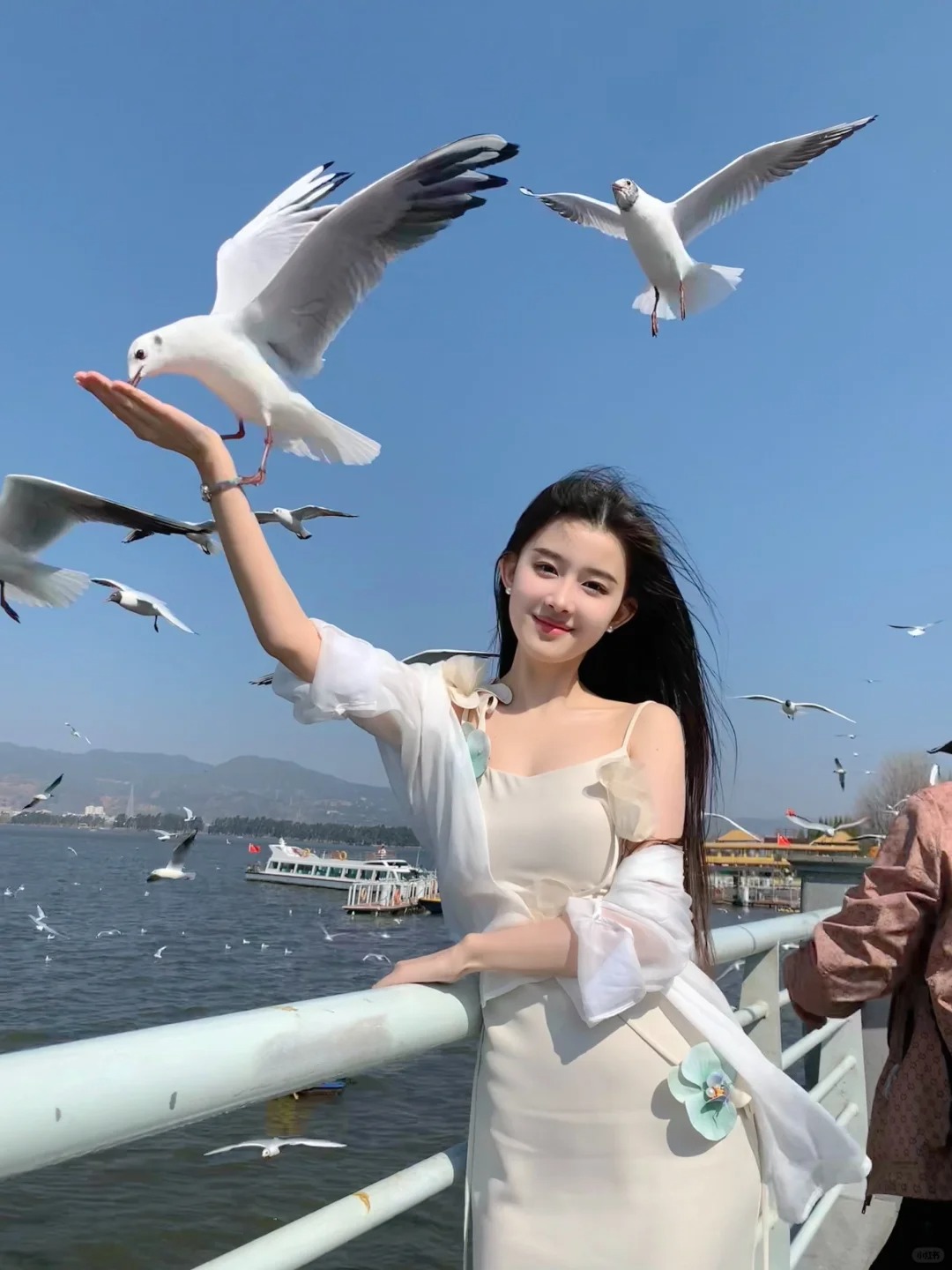 来昆明看海鸥啦～