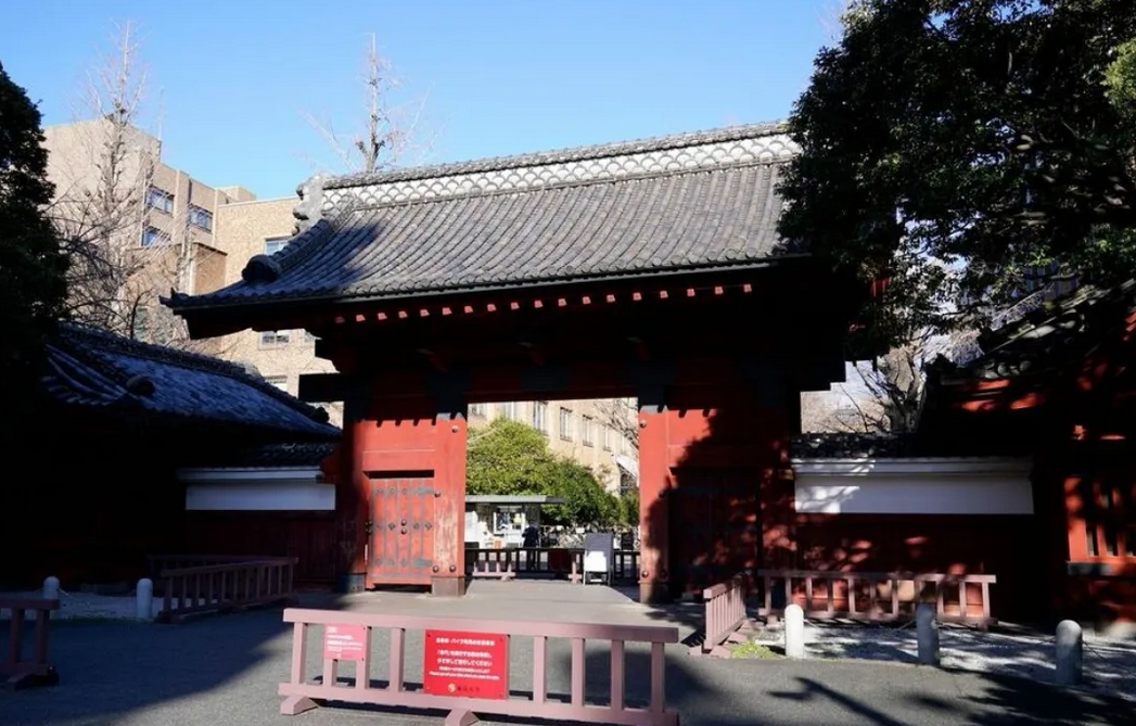 东京大学盘点留学生人数，中国留学生数量占比令其担忧！

日媒报道，东京大学每年两