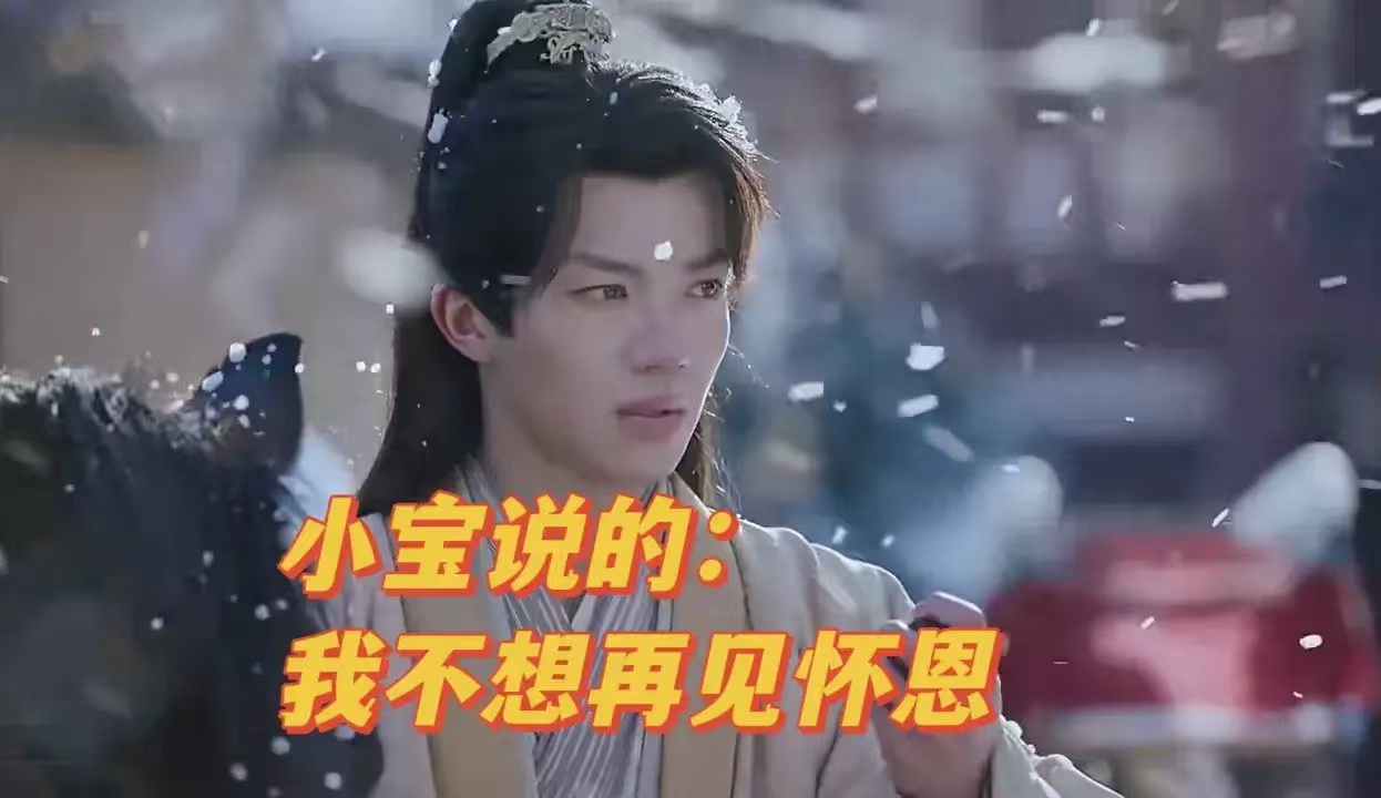 小宝说的：我不想再见怀恩 苏胤的理解有误