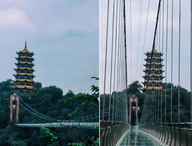 滇南旅游的小惊喜