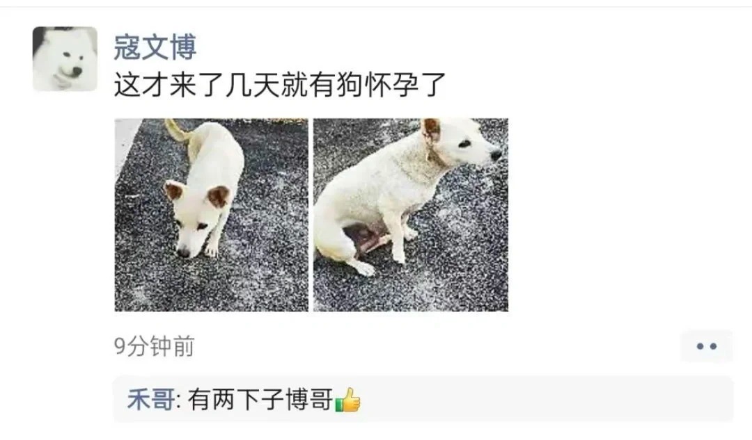男生为什么不发朋友圈
“他名字里没有冰，为什么你们叫他冰哥”
“因为他这一生如履
