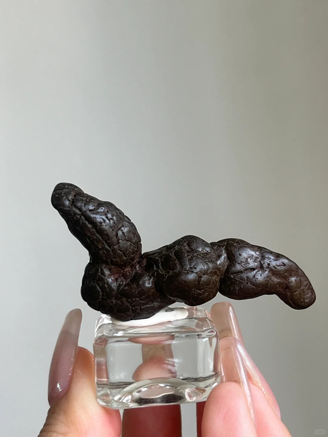 这颗总像🐍了吧