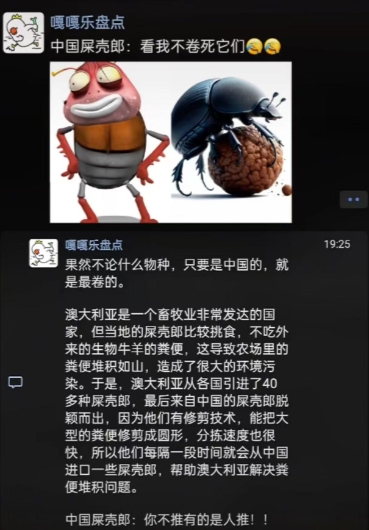 就当个段子看。不过卷是真的卷。