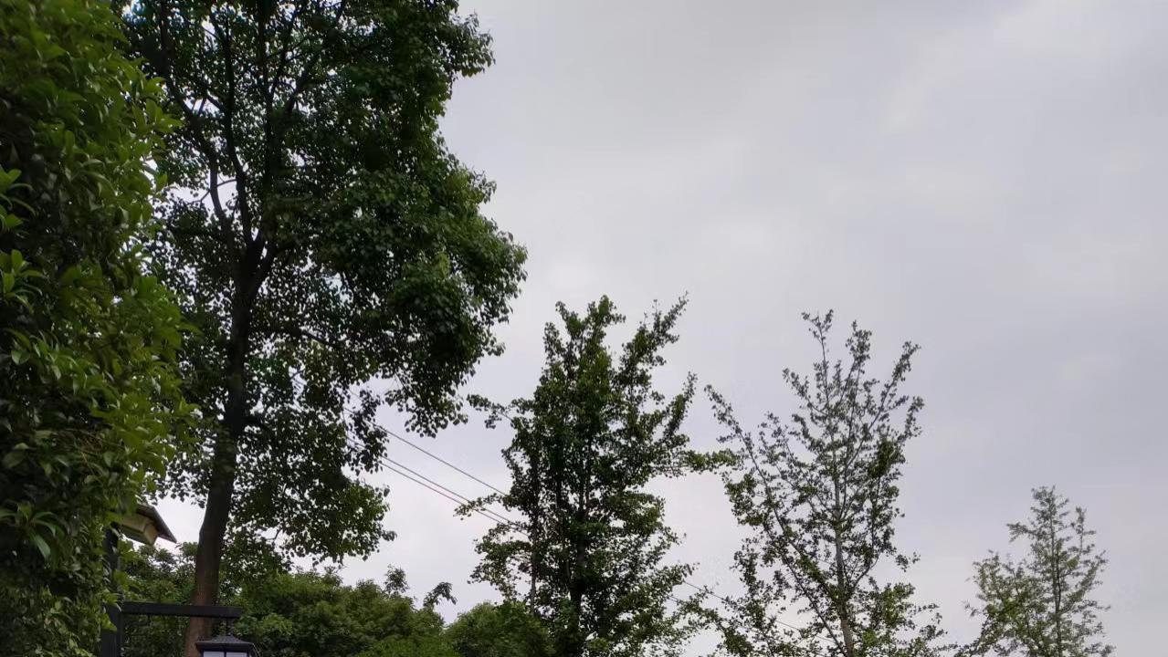读邵丽的《黄河故事》8