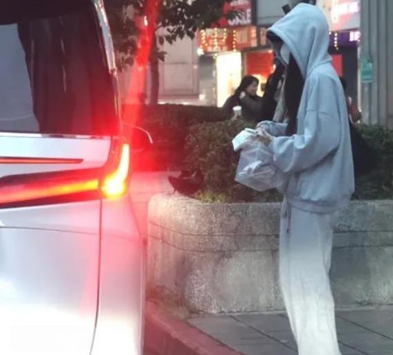 今日傍晚时分，小S家要价459万元的凌志LM500h新保母车，载着S妈、小S、许