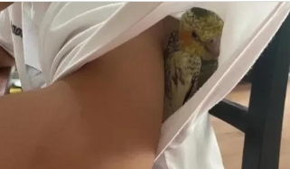 妈呀，我以为是蛇，这个孩子要吓死老娘，你家有这个样的孩子吗？ ⁡