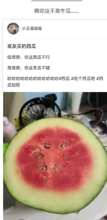 室友买的西瓜