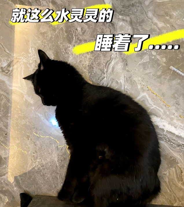 让人难以理解的搞笑睡姿