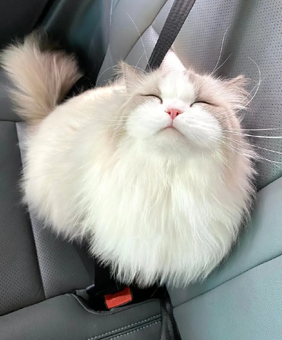 甩脸子给谁看呐