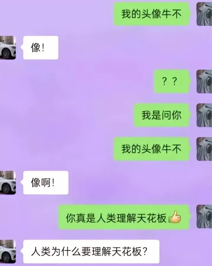 人类为什么要理解天花板?