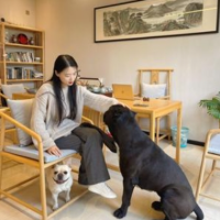 萌犬山大王