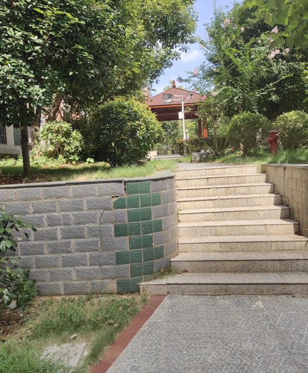 表叔少小离家，在省城成家立业。有一个独生女，性格倔犟，与父母关系紧张，远嫁异国他