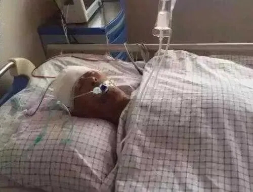 当法医尸检报告明确显示男子并非病死而是死于敌敌畏中毒后，警方迅速介入调查，很快案