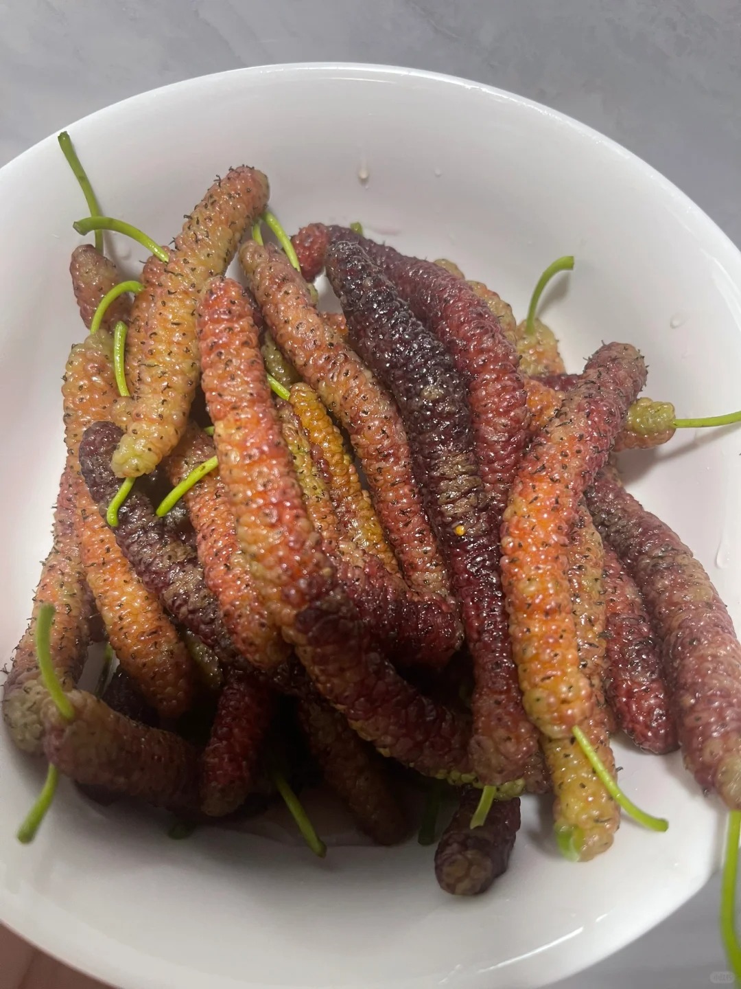 好恶心这什么东西……
家人们，这是什么啊啊，你们见过吗