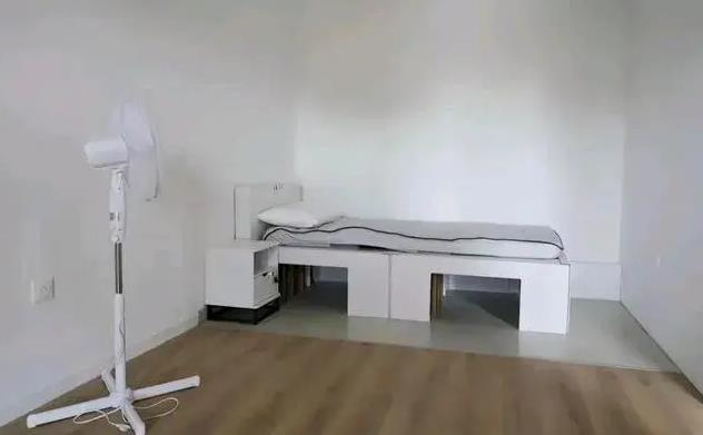 随着巴黎奥运会开幕式的临近，中国代表团及其他国家如日本、荷兰、澳大利亚和美国等代