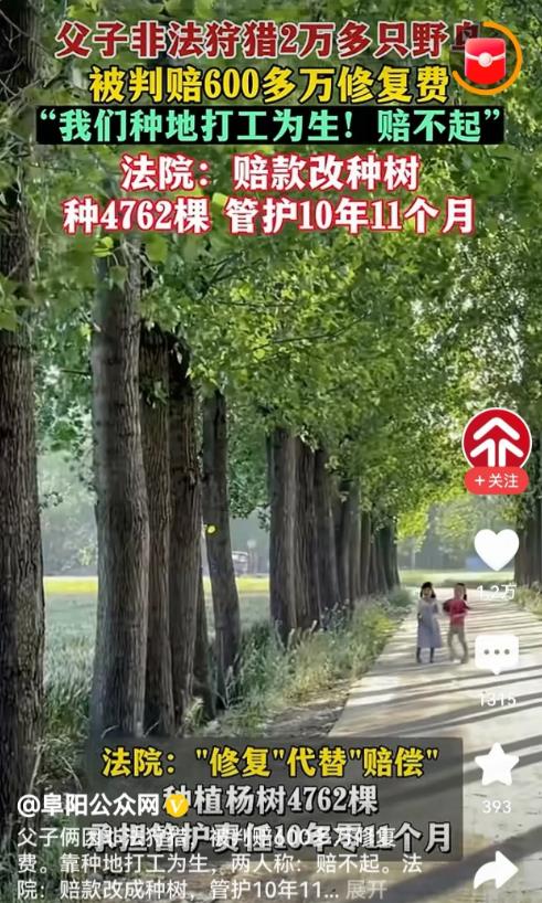 江苏淮安，一父子外出狩猎并销售野鸟2万余只，被法院判决为非法狩猎，需赔偿600多