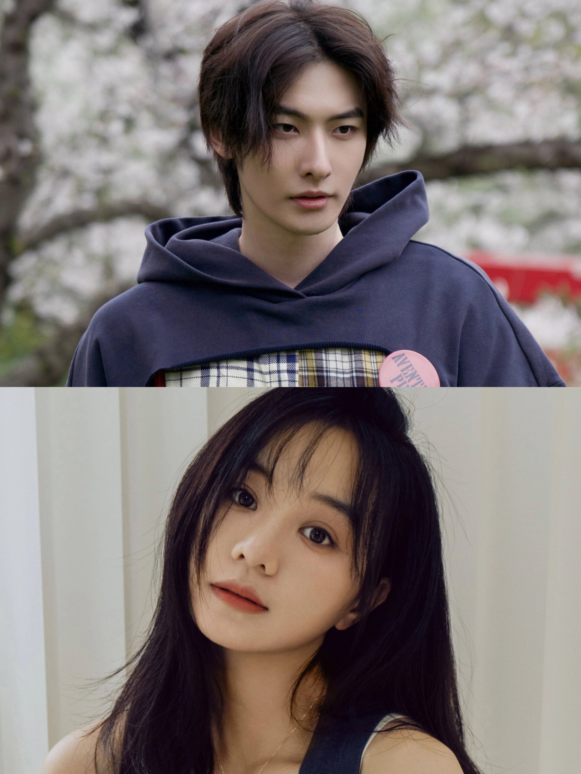 这也太好看了吧