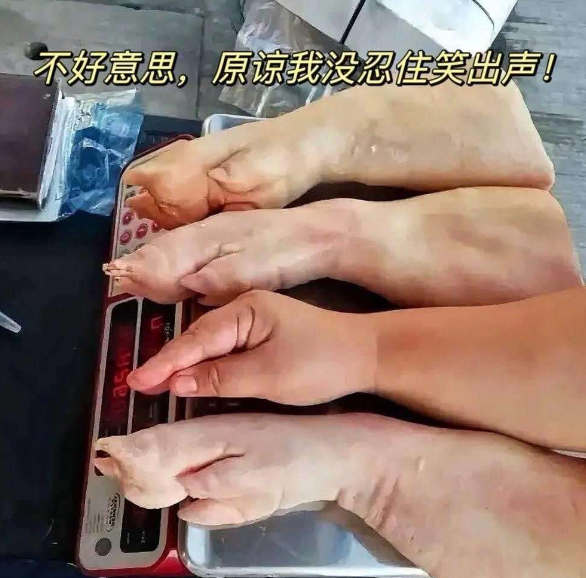 这个原谅我，真的太像了！