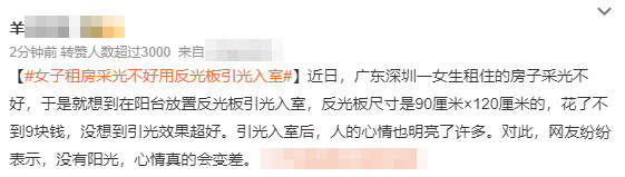 女子租房采光不好用反光板引光入室，效果太好