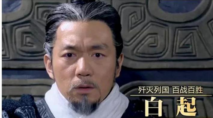 赵匡胤在武庙指着白起的塑像要求将其撤下，体现了他对白起历史形象的深刻反感，尤其是