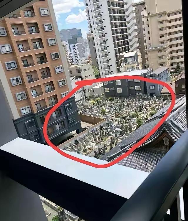 楼下有这群邻居，晚上不害怕吗？