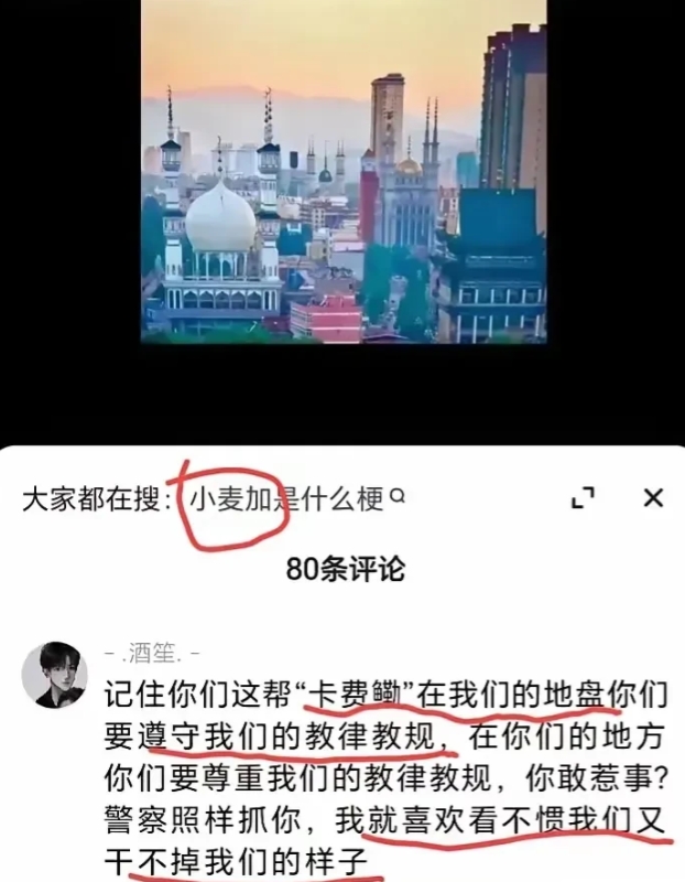 卡费鳓是什么意思？你们的地盘在哪里？偌大的一个中国，容不下你们了是吧？

只要是