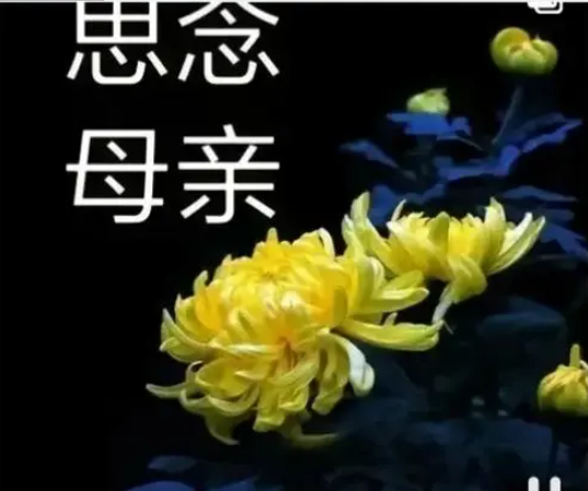 祭 母 亲文