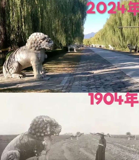 晚清，为啥山上到处都光秃秃的？