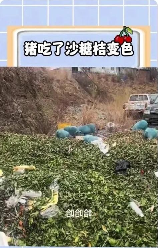 真是大千世界，不是亲眼所见，感觉万万不能！
刚看到一个视频，一男子把卖剩下的沙糖
