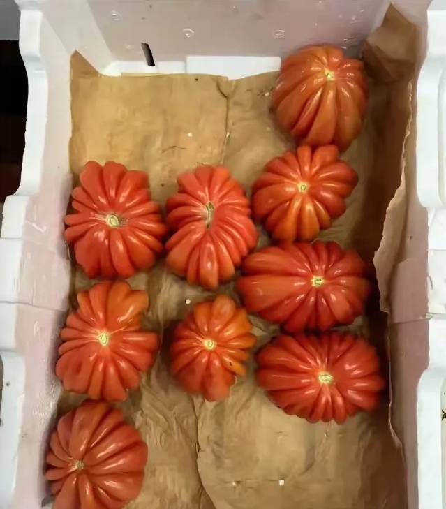 这西红柿是咋回事，是不是激素药用多了？