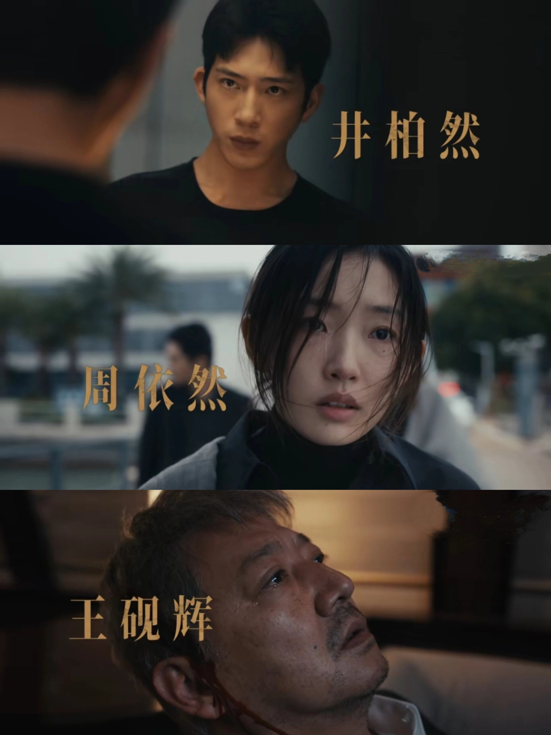 宝藏悬疑剧，全员恶人‼️鲨疯了