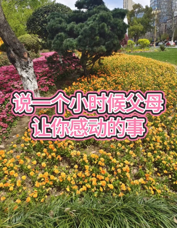 小时候家里穷，爸爸妈妈在外谋生，我和弟弟在家里跟着爷爷奶奶。

四年级的时候有一