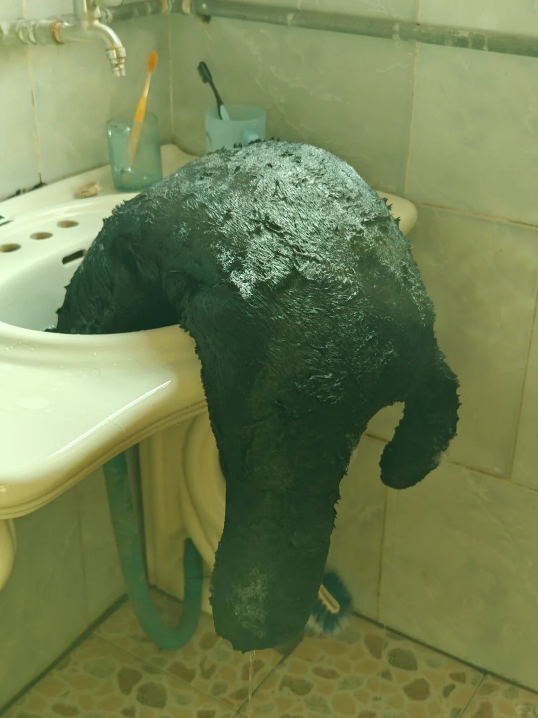 我就单纯洗个玩偶而已